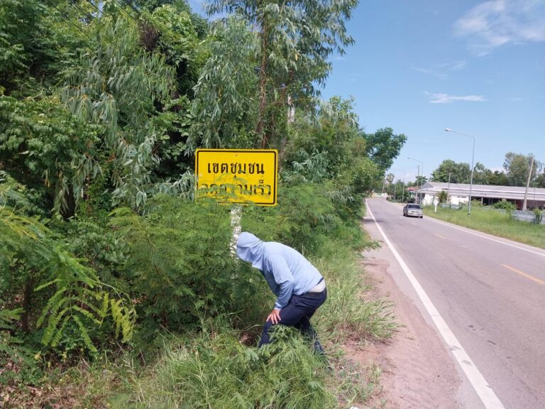 ปลัดเทศบาลตำบลไผ่  พนักงานขับรถยนต์  ปรับภูมิทัศน์ในเขตพื้นที่ให้สะอาดตา  น่าอยู่  น่ามอง  เมื่อวันที่  23  มิถุนายน  2569 ณ  เขตพื้นที่บ้านหนองโพน  หนองไผ่  โนนทอง  คำเม็ก