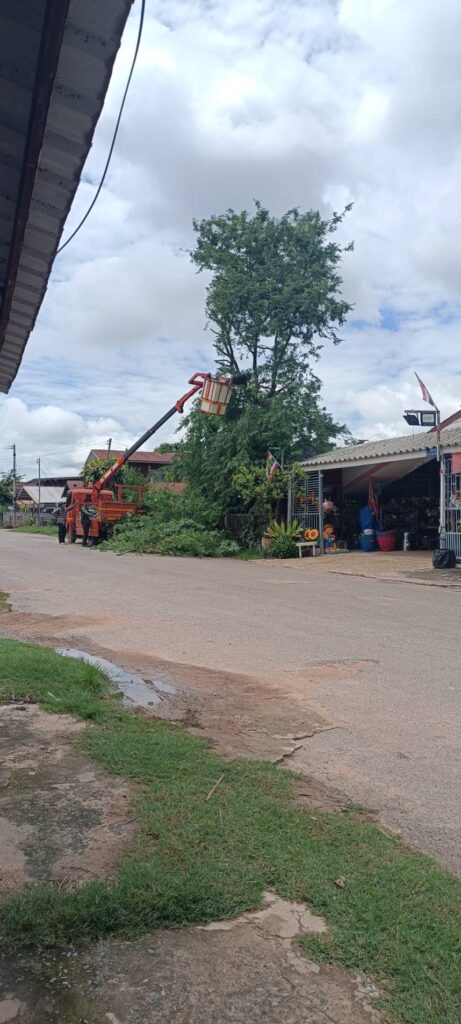 วันที่  12  มิถุนายน  2569  งานไฟฟ้าตัดไม้บ้านโคกล่าม 