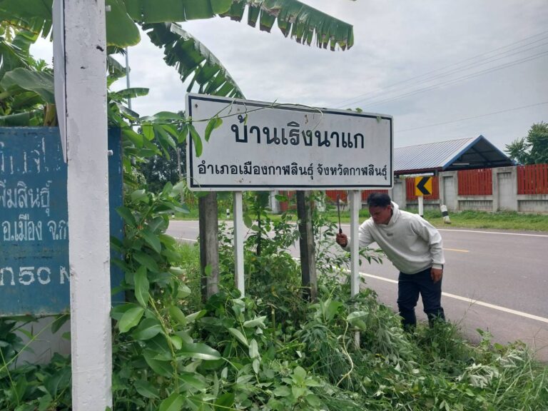 ปลัดเทศบาลตำบลไผ่  พนักงานขับรถยนต์  ปรับภูมิทัศน์ในเขตพื้นที่ให้สะอาดตา  น่าอยู่  น่ามอง  เมื่อวันที่  7  กรกฎาคม  2569 ณ  เขตพื้นที่บ้านหนองโพน  เริงนาแก