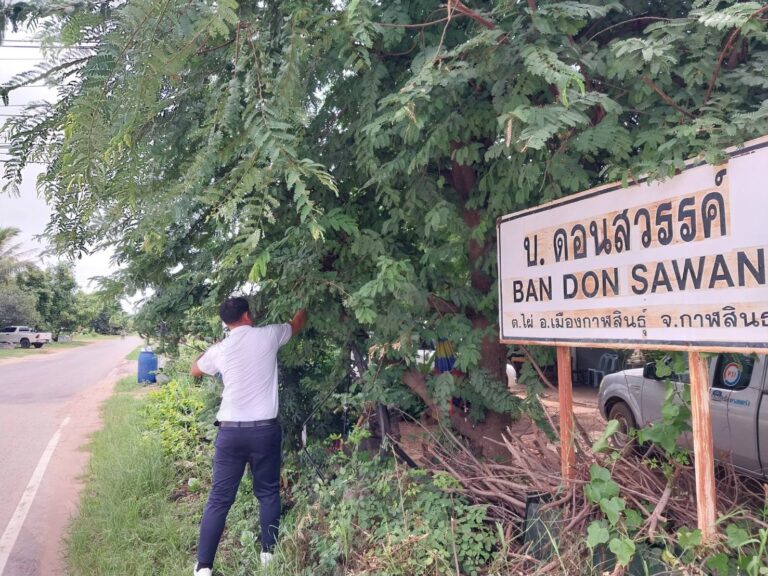 ปลัดเทศบาลตำบลไผ่  พนักงานขับรถยนต์  ปรับภูมิทัศน์ในเขตพื้นที่ให้สะอาดตา  น่าอยู่  น่ามอง  เมื่อวันที่  14  กรกฎาคม  2569 ณ  เขตพื้นที่บ้านดอนสวรรค์  หนองโพน  หนองไผ่  คำเม็ก
