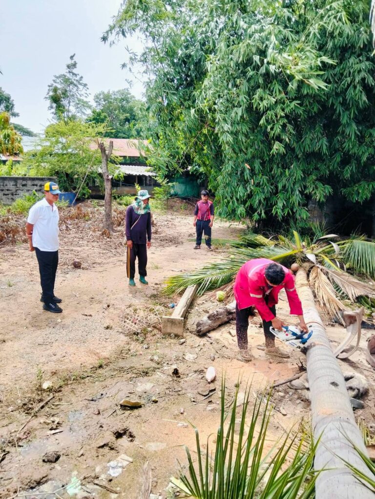 วันที่  17  กรกฎาคม  2569  กองช่างตัดไม้บ้านหนองไผ่