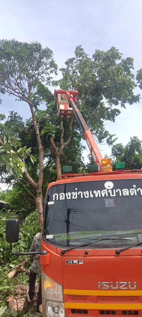 วันที่  28  สิงหาคม  2569  งานไฟฟ้าตัดไม้แนวสายไฟฟ้าแรงต่ำบ้านโคกล่าม 