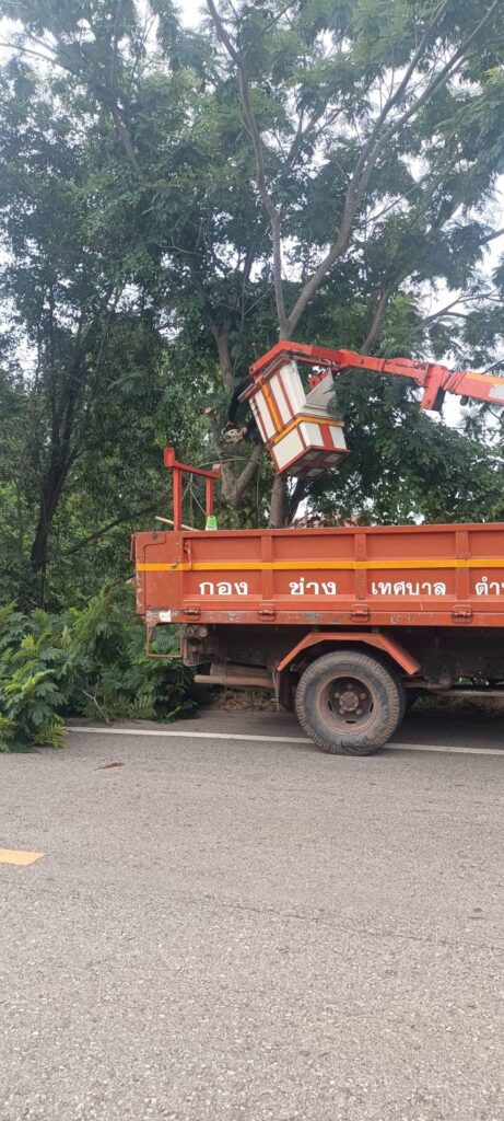 วันที่  8  กันยายน  2569   งานไฟฟ้าปรับปรุงภูมิทัศน์ถนนสายโนนทอง  –  สำนักงานเทศบาลตำบลไผ่