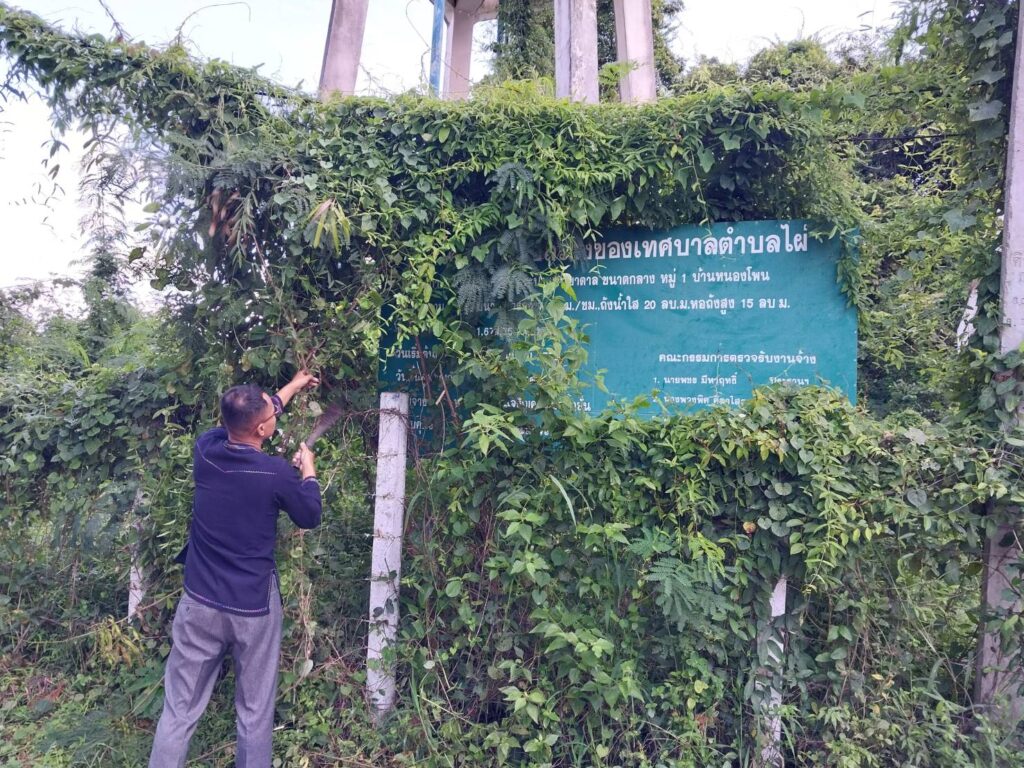ปลัดเทศบาลตำบลไผ่  นักวิชาการพัสดุ  ปรับภูมิทัศน์ในเขตพื้นที่ให้สะอาดตา  น่าอยู่  น่ามอง  เมื่อวันที่  29  กันยายน  2569  ณ  เขตพื้นที่บ้านหนองโพน  หนองไผ่